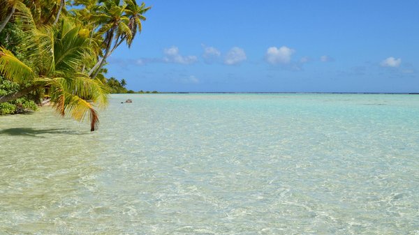 Voyage bolivie : du salar d'uyuni à l'immersion andine