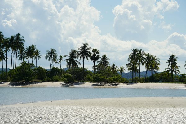 Billets de train à petits prix : voyagez en toute liberté