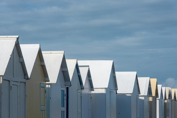Plaisir des yeux et économies : vivez une aventure magique grâce aux promos pour découvrir le zoo de beauval
